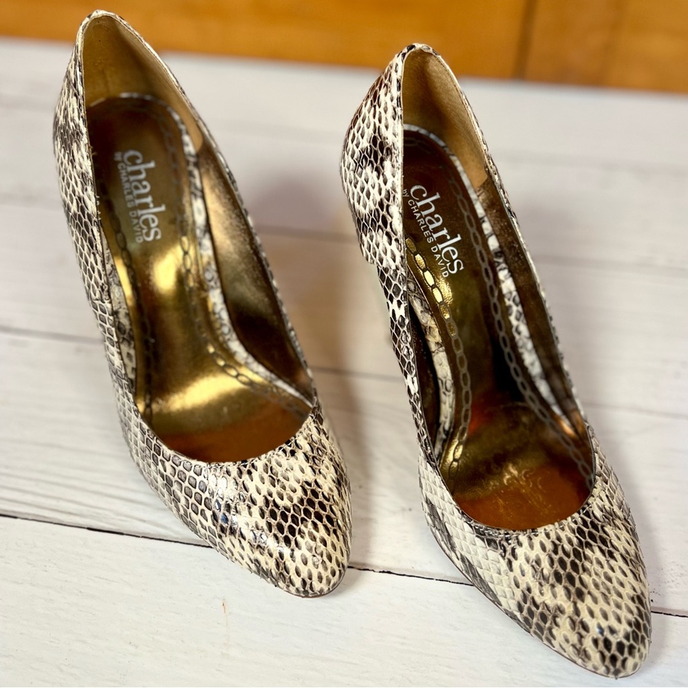 Charles David high heel pump